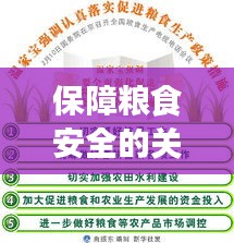 保障粮食安全的关键路径，严格落实涉粮政策措施