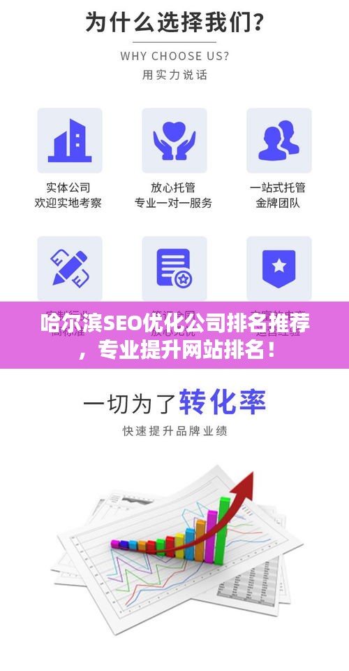 哈尔滨SEO优化公司排名推荐，专业提升网站排名！