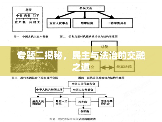 专题二揭秘，民主与法治的交融之道