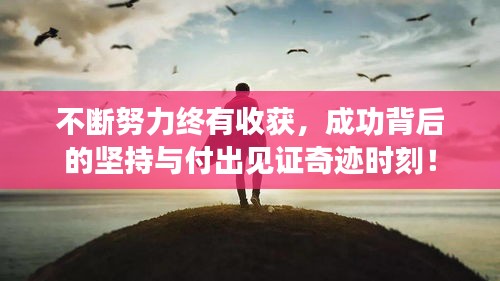 不断努力终有收获，成功背后的坚持与付出见证奇迹时刻！