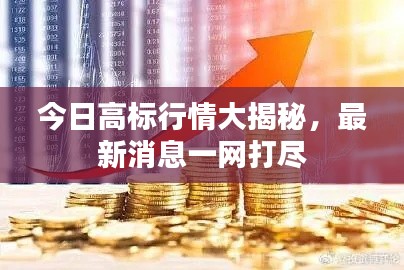 今日高标行情大揭秘，最新消息一网打尽