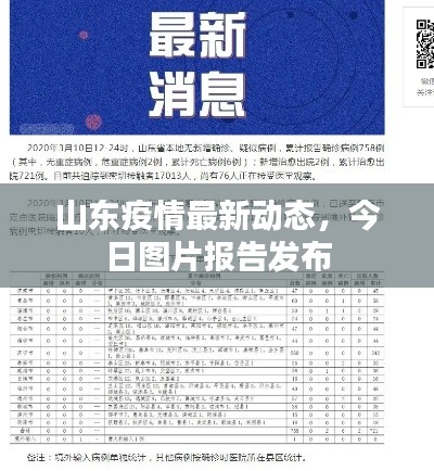 山东疫情最新动态，今日图片报告发布