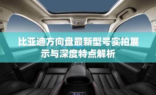 比亚迪方向盘最新型号实拍展示与深度特点解析