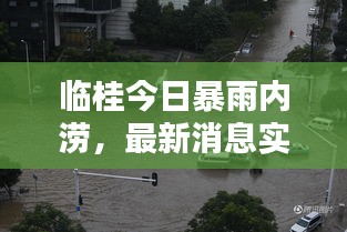 临桂今日暴雨内涝，最新消息实时更新