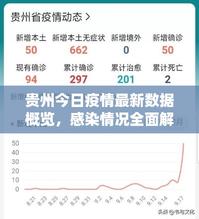 贵州今日疫情最新数据概览，感染情况全面解析