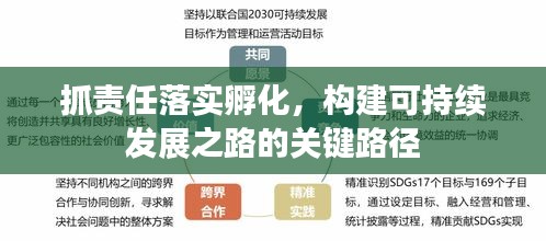 抓责任落实孵化，构建可持续发展之路的关键路径