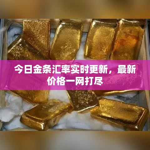 今日金条汇率实时更新，最新价格一网打尽