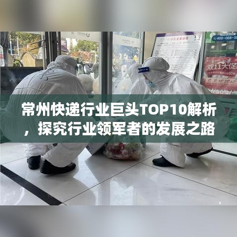 常州快递行业巨头TOP10解析，探究行业领军者的发展之路