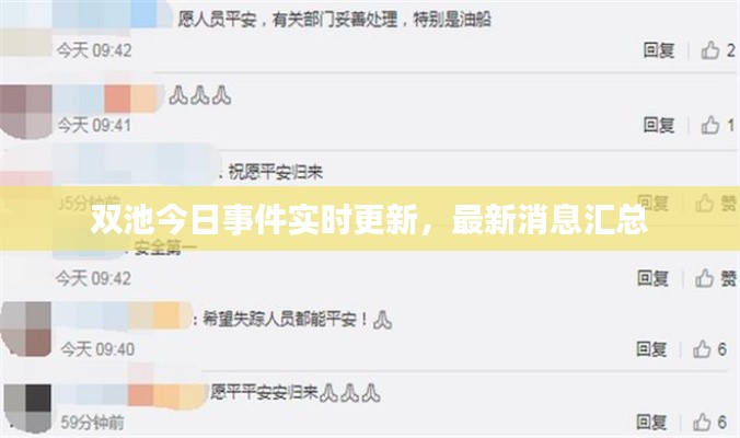 双池今日事件实时更新，最新消息汇总