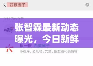 张智霖最新动态曝光，今日新鲜资讯一网打尽