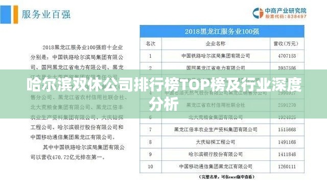 哈尔滨双休公司排行榜TOP榜及行业深度分析