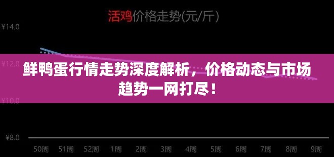 鲜鸭蛋行情走势深度解析，价格动态与市场趋势一网打尽！