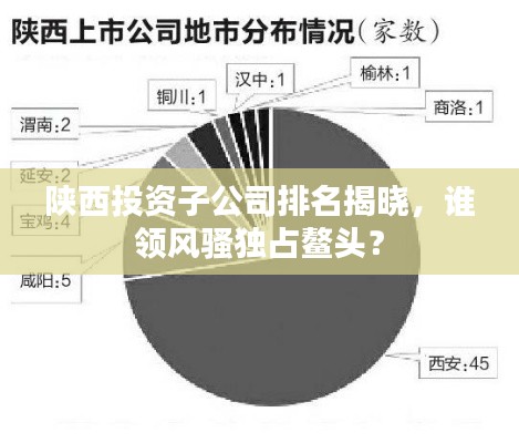 陕西投资子公司排名揭晓，谁领风骚独占鳌头？