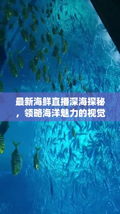 最新海鲜直播深海探秘，领略海洋魅力的视觉盛宴