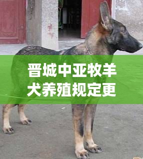 晋城中亚牧羊犬养殖规定更新，最新消息全面解读