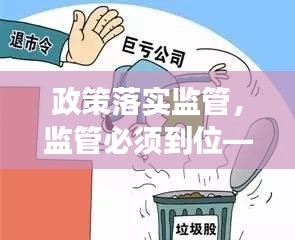 政策落实监管，监管必须到位——确保政策有效执行的关键所在