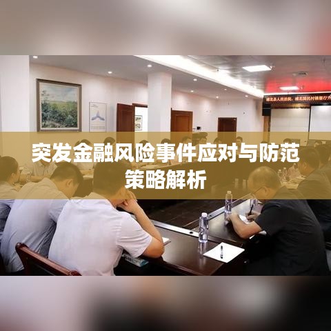 突发金融风险事件应对与防范策略解析