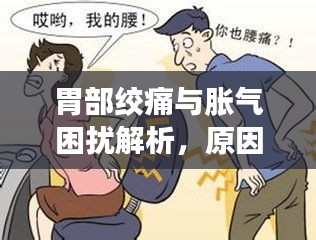 胃部绞痛与胀气困扰解析，原因、治疗及预防策略