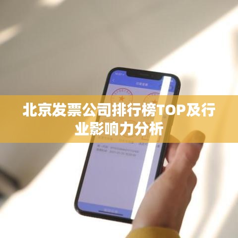 北京发票公司排行榜TOP及行业影响力分析