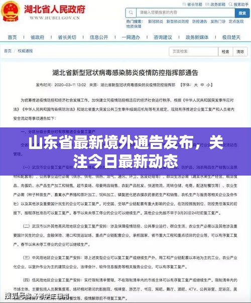 山东省最新境外通告发布，关注今日最新动态