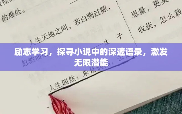 励志学习，探寻小说中的深邃语录，激发无限潜能