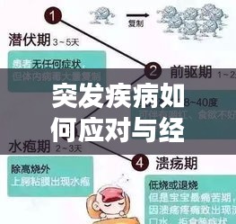 突发疾病如何应对与经历分享，实用指南与应对策略