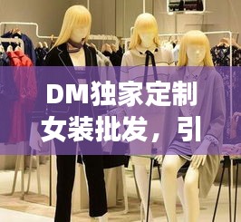 DM独家定制女装批发，引领潮流，多样需求满足，时尚之选