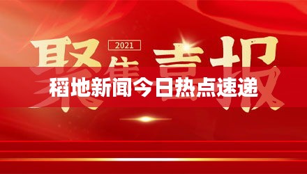 稻地新闻今日热点速递