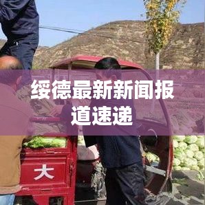 绥德最新新闻报道速递