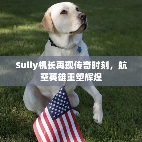 Sully机长再现传奇时刻，航空英雄重塑辉煌