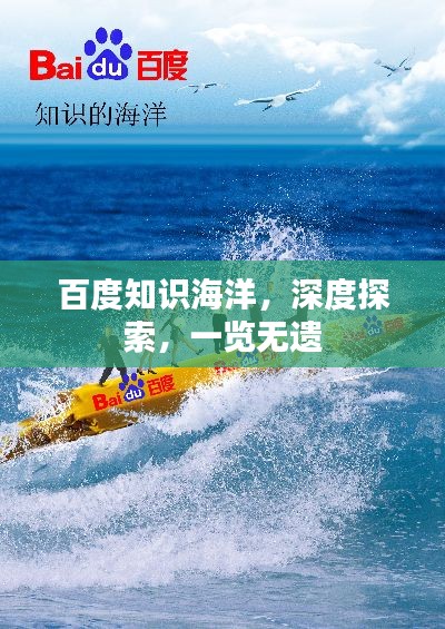 百度知识海洋，深度探索，一览无遗