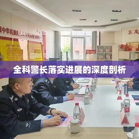 全科警长落实进展的深度剖析