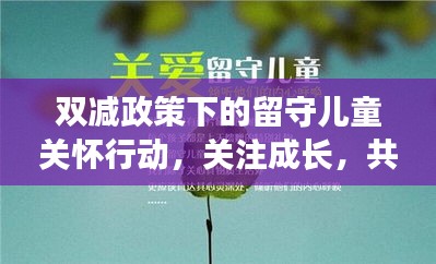 双减政策下的留守儿童关怀行动，关注成长，共筑未来