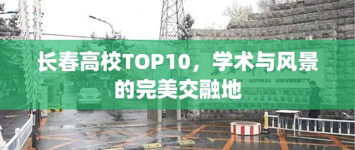 长春高校TOP10，学术与风景的完美交融地