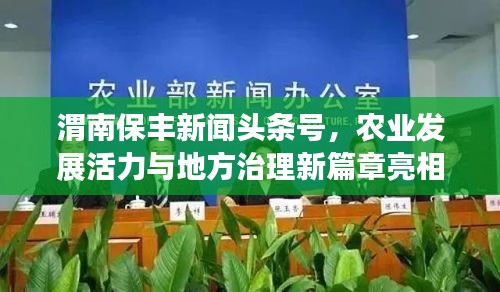 渭南保丰新闻头条号，农业发展活力与地方治理新篇章亮相