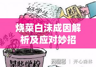 烧菜白沫成因解析及应对妙招