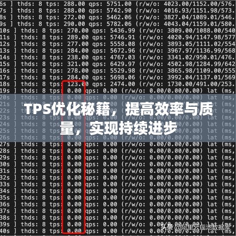 TPS优化秘籍，提高效率与质量，实现持续进步