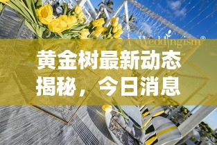 黄金树最新动态揭秘，今日消息一网打尽！