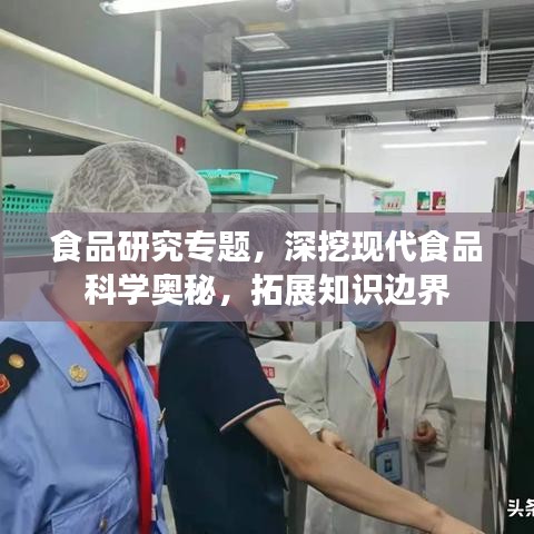 食品研究专题，深挖现代食品科学奥秘，拓展知识边界