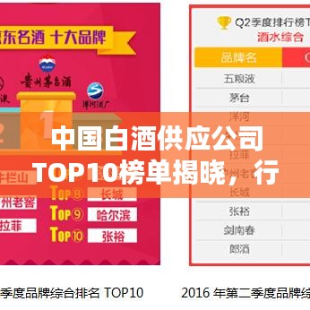 中国白酒供应公司TOP10榜单揭晓，行业巨头排名及实力解析