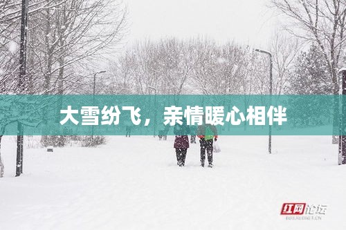 大雪纷飞，亲情暖心相伴