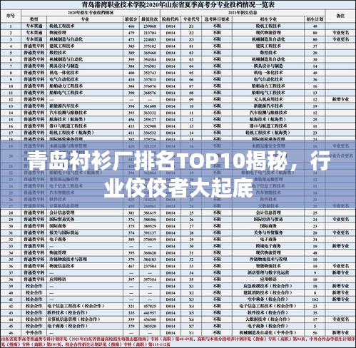 青岛衬衫厂排名TOP10揭秘，行业佼佼者大起底