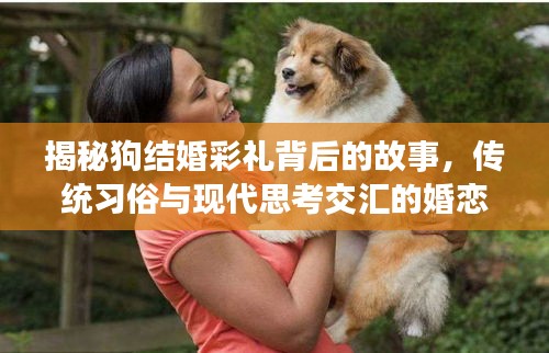 揭秘狗结婚彩礼背后的故事，传统习俗与现代思考交汇的婚恋话题热议