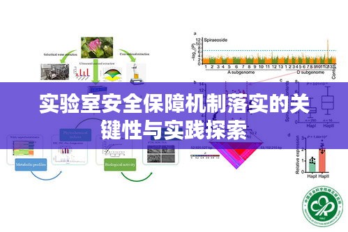 实验室安全保障机制落实的关键性与实践探索