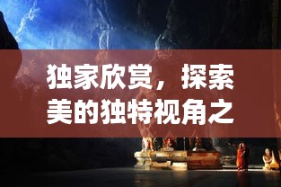 独家欣赏，探索美的独特视角之旅