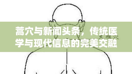 蒿穴与新闻头条，传统医学与现代信息的完美交融