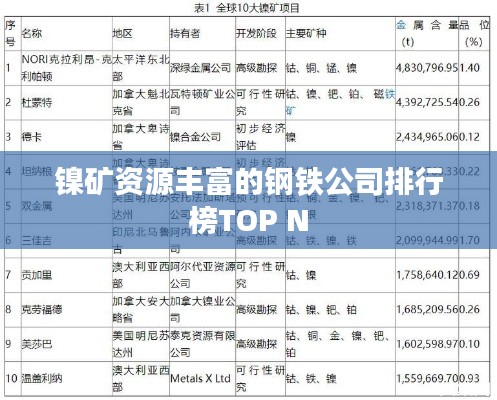 镍矿资源丰富的钢铁公司排行榜TOP N