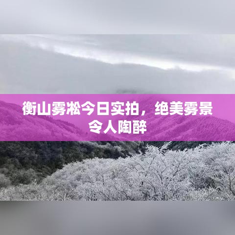 衡山雾凇今日实拍，绝美雾景令人陶醉