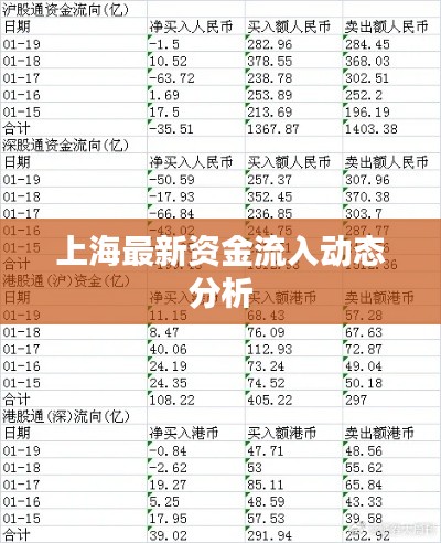 上海最新资金流入动态分析