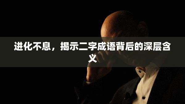 进化不息，揭示二字成语背后的深层含义